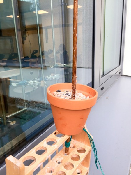 3-Meisenk-1