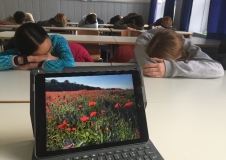 Lernen-lernen-2