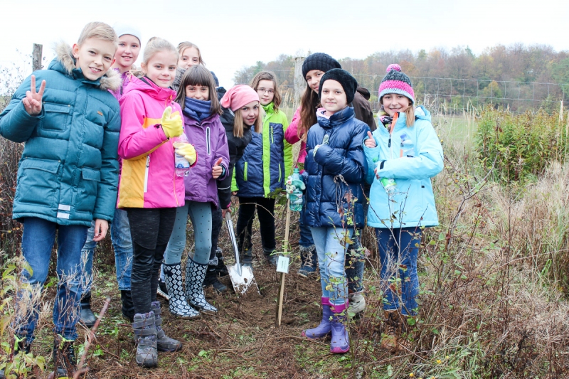 2016-6-Klasse-5b-1